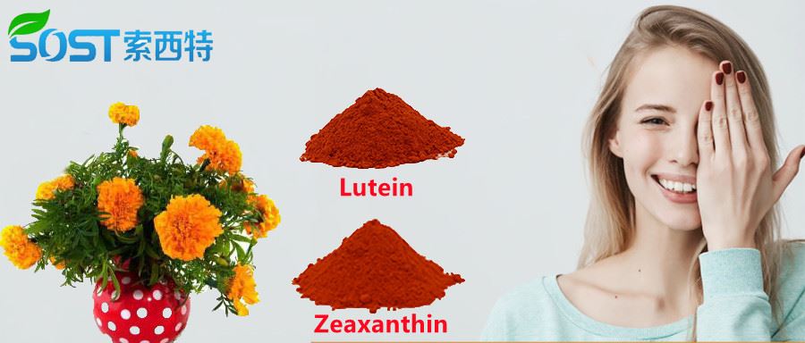 zeaxanthin powder