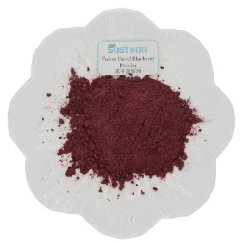 product-350-350 Freeze dried blueberry powder