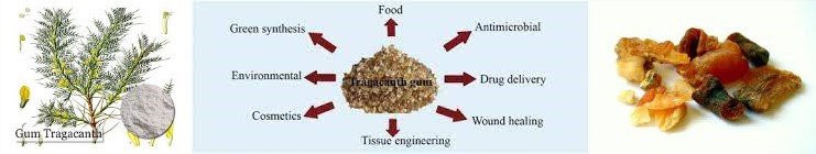 tragacanth use