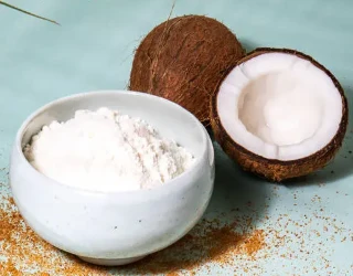 Vad är kokosmjölkspulver bra för?