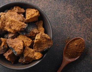 Hur man gör Chaga Mushroom Extract?