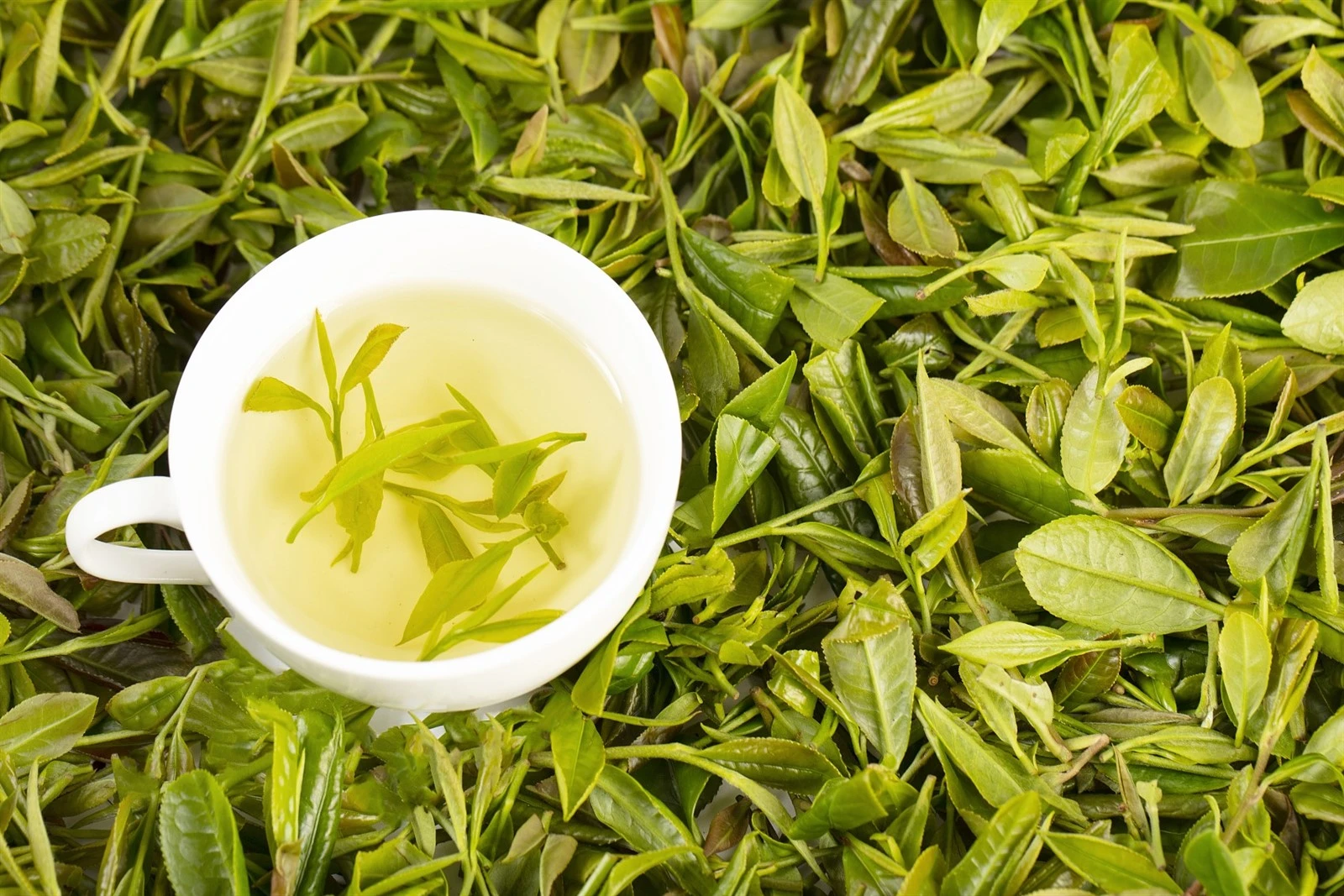 instant tea raw materials instant tea raw materials