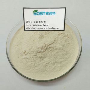 Wild Yam extraktpulver