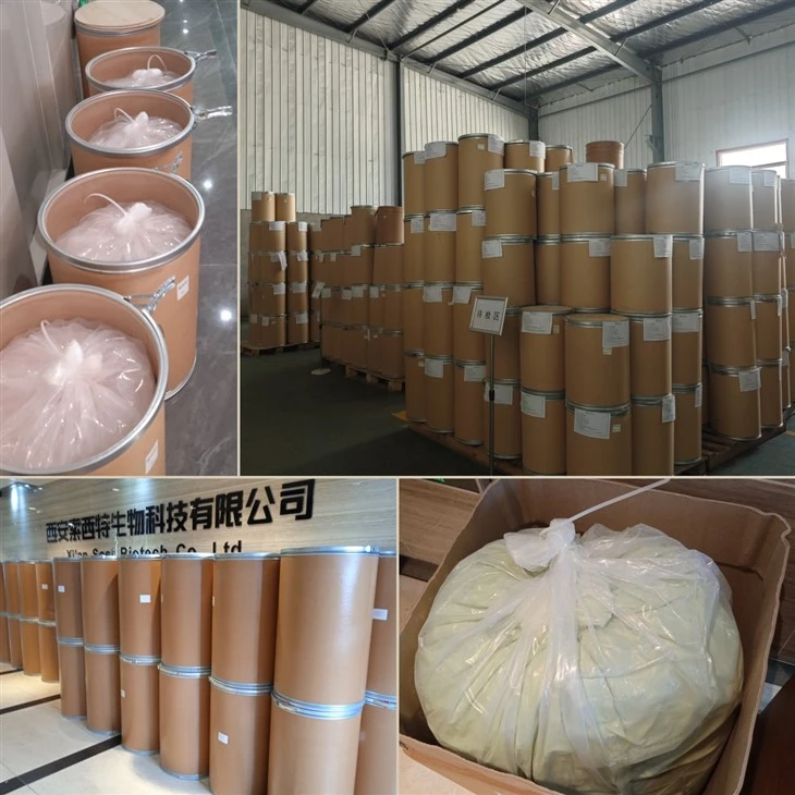 Gardenia Extract 10% Geniposide factory